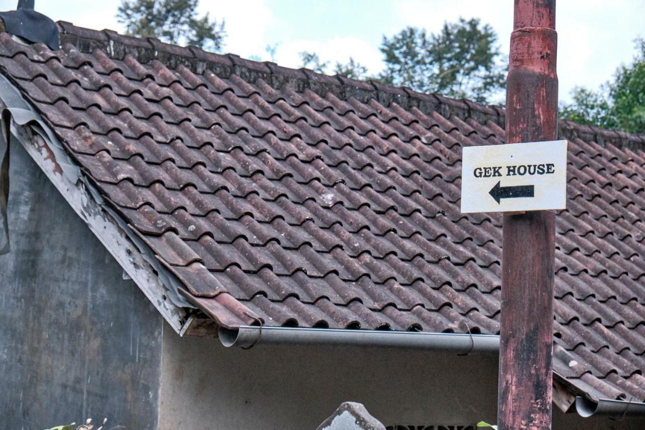Gek House Ubud Zewnętrze zdjęcie