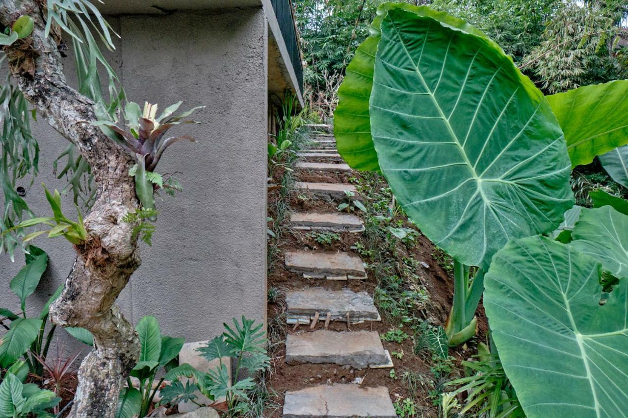 Gek House Ubud Zewnętrze zdjęcie
